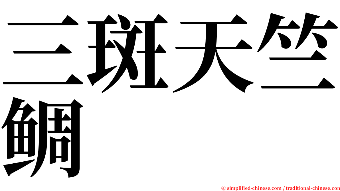 三斑天竺鲷 serif font