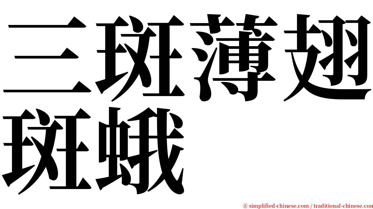 三斑薄翅斑蛾 serif font