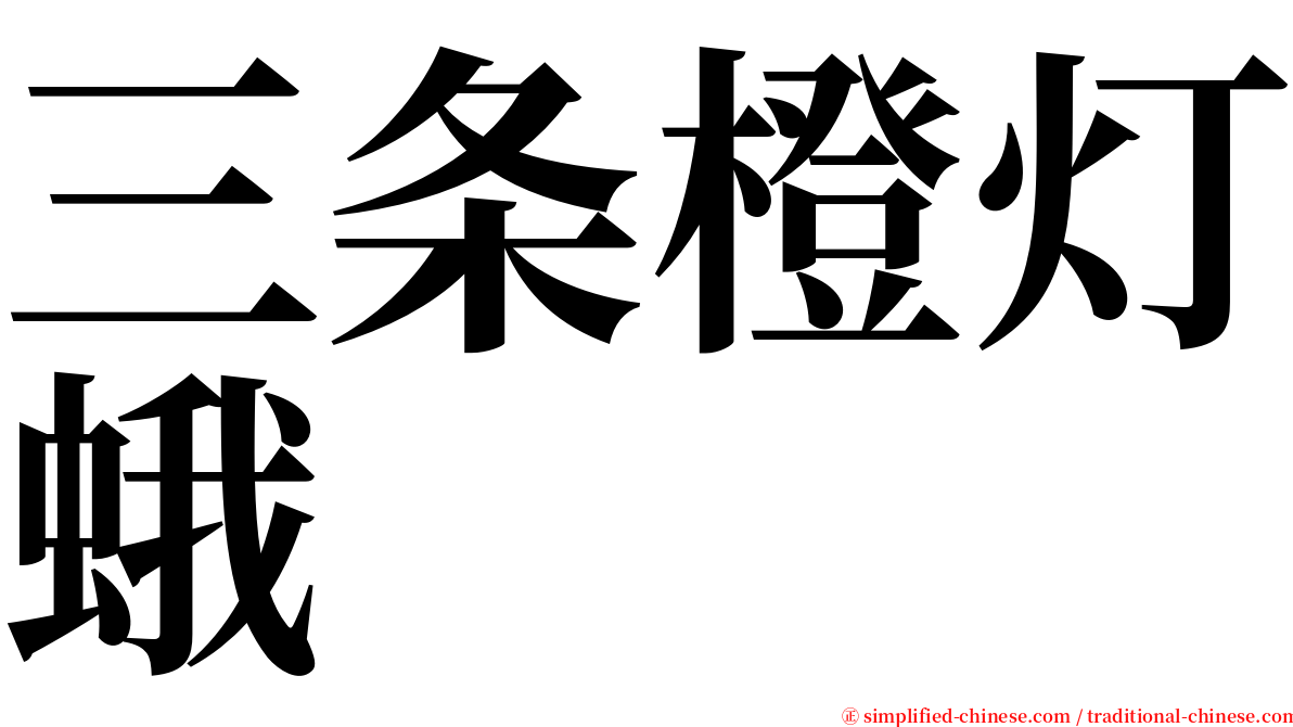 三条橙灯蛾 serif font