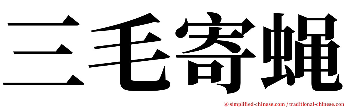 三毛寄蝇 serif font