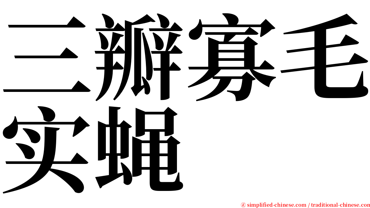 三瓣寡毛实蝇 serif font