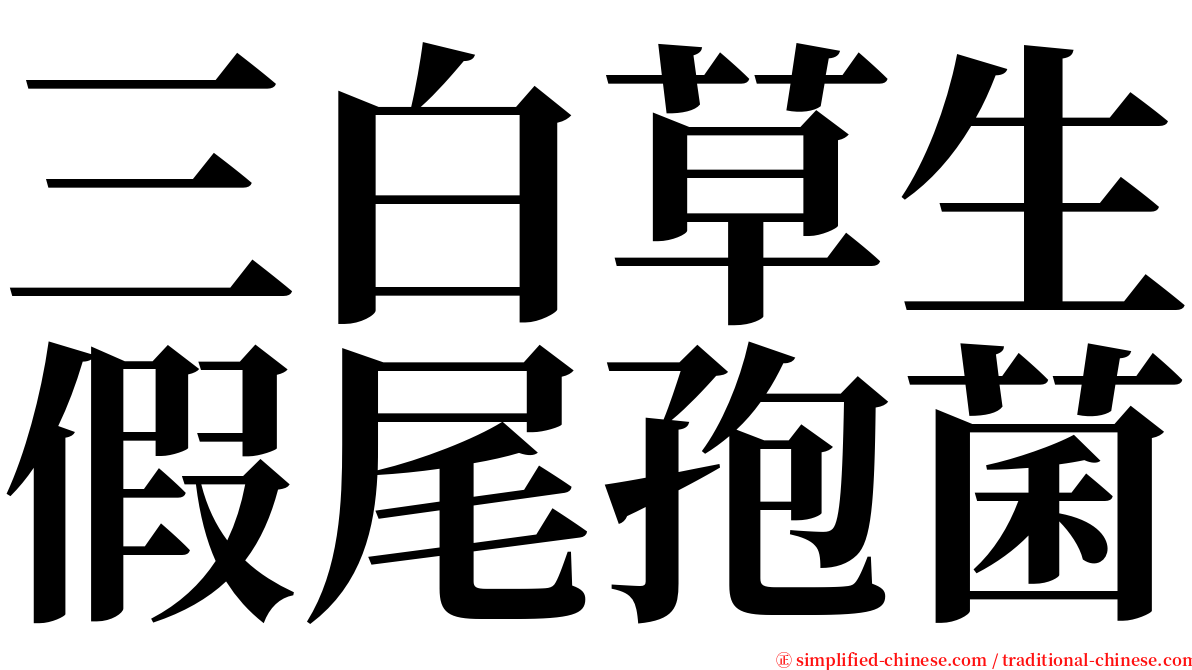 三白草生假尾孢菌 serif font