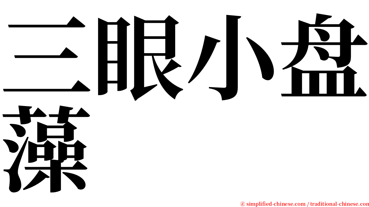 三眼小盘藻 serif font