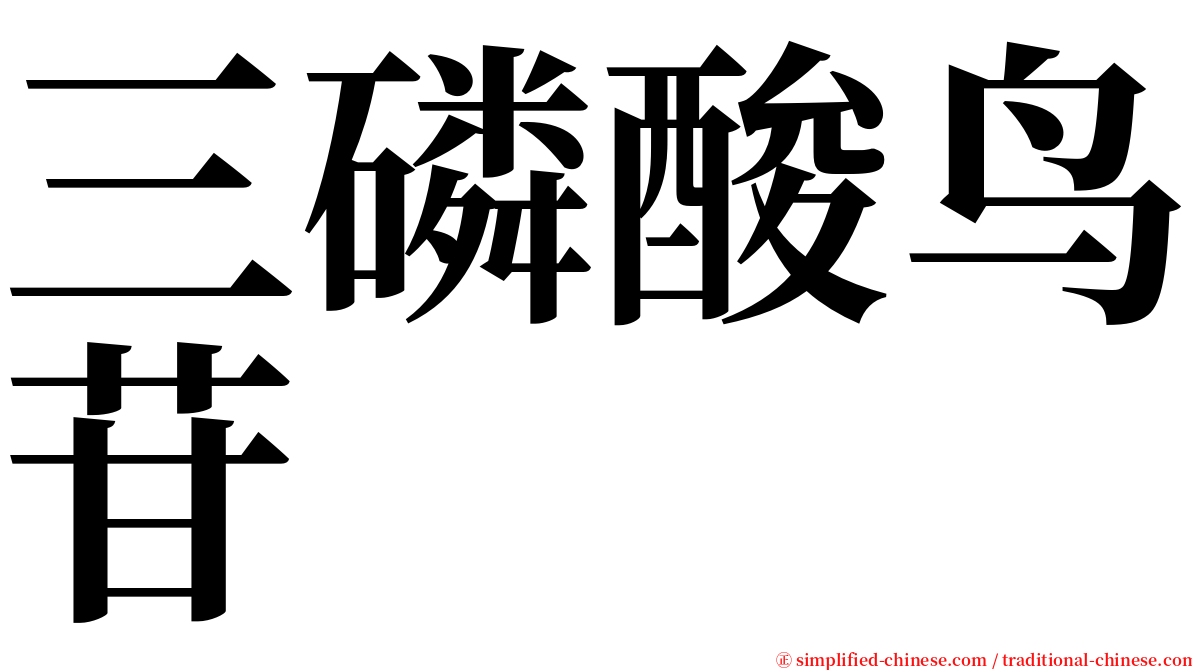 三磷酸鸟苷 serif font