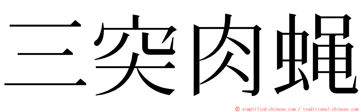 三突肉蝇 ming font