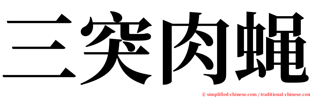 三突肉蝇 serif font