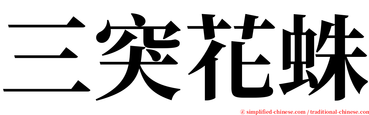 三突花蛛 serif font