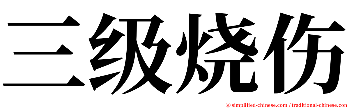 三级烧伤 serif font