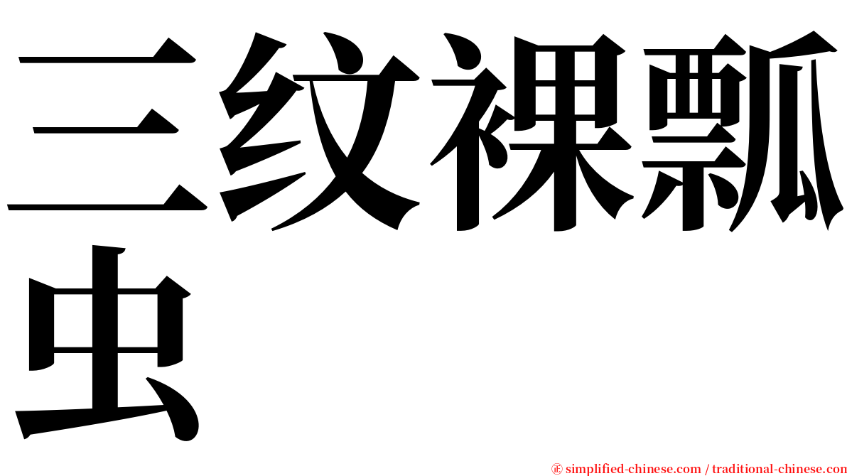 三纹裸瓢虫 serif font