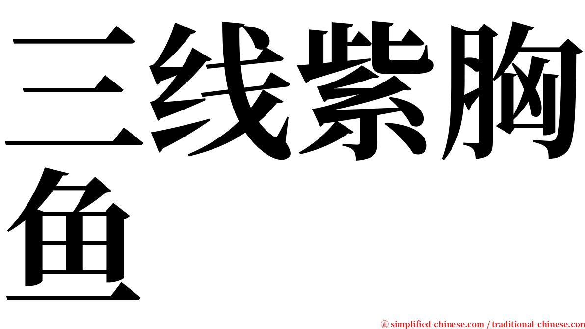 三线紫胸鱼 serif font