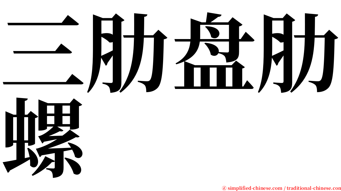 三肋盘肋螺 serif font