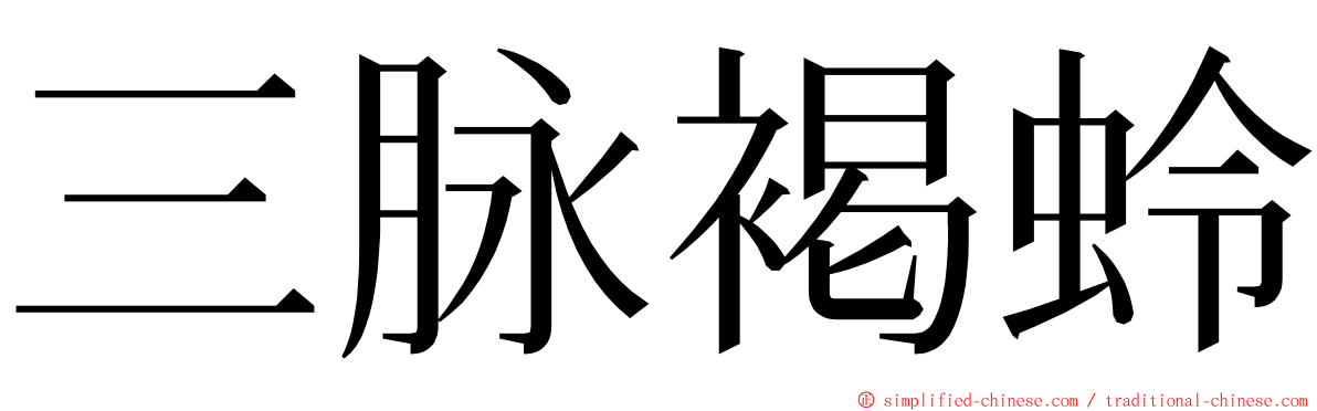 三脉褐蛉 ming font