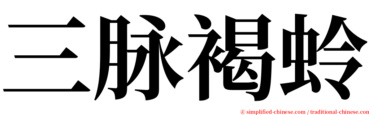 三脉褐蛉 serif font