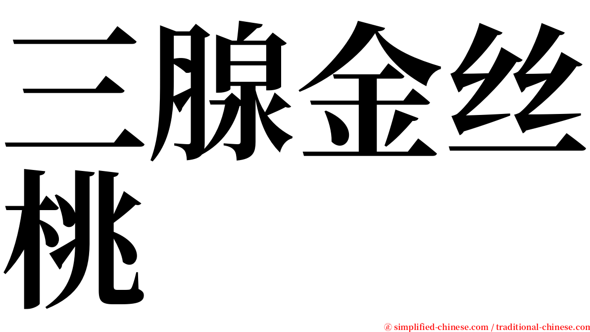 三腺金丝桃 serif font