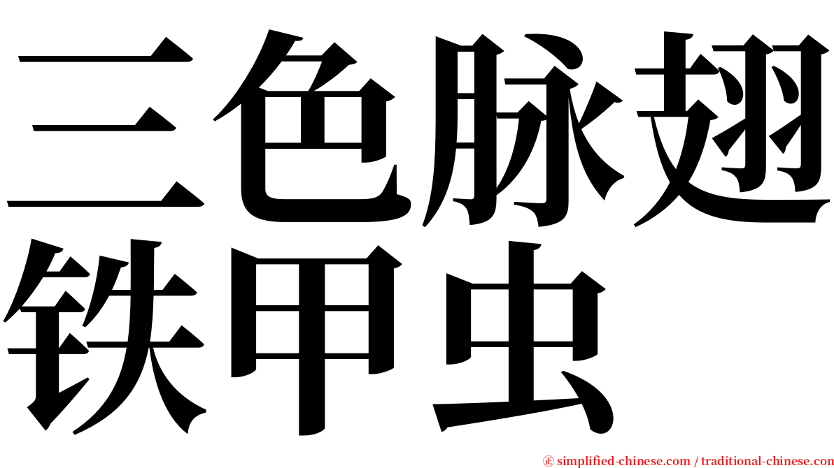 三色脉翅铁甲虫 serif font