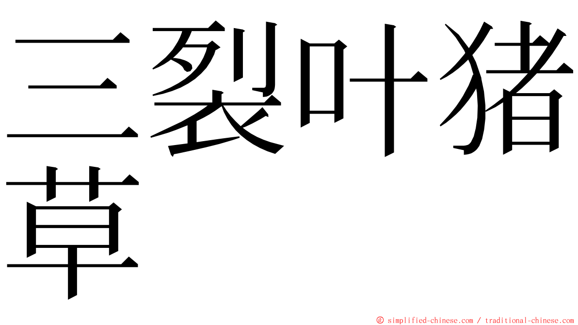 三裂叶猪草 ming font