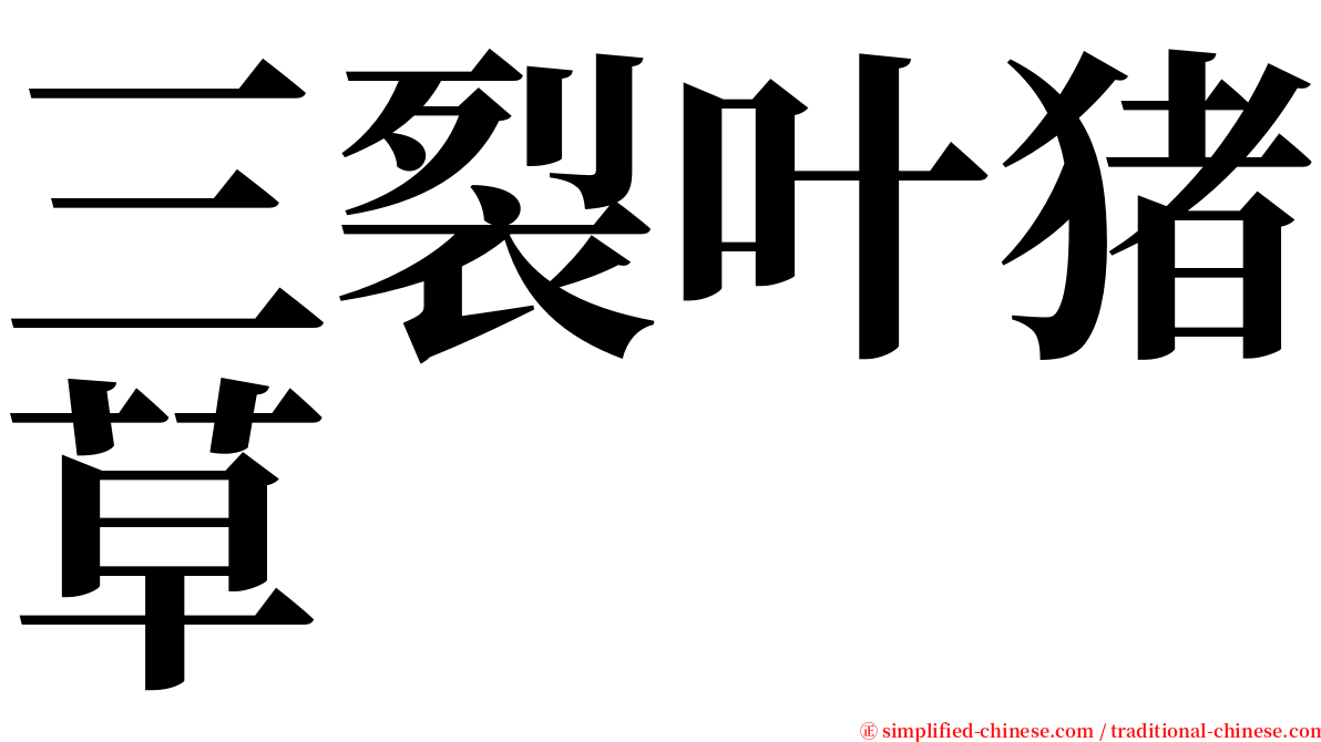 三裂叶猪草 serif font