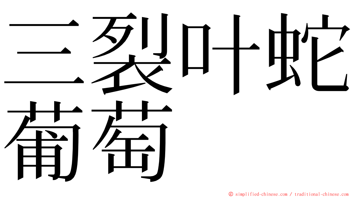 三裂叶蛇葡萄 ming font