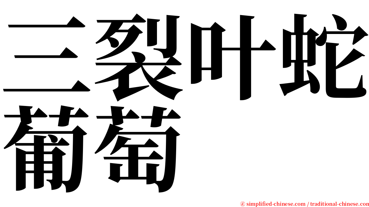 三裂叶蛇葡萄 serif font