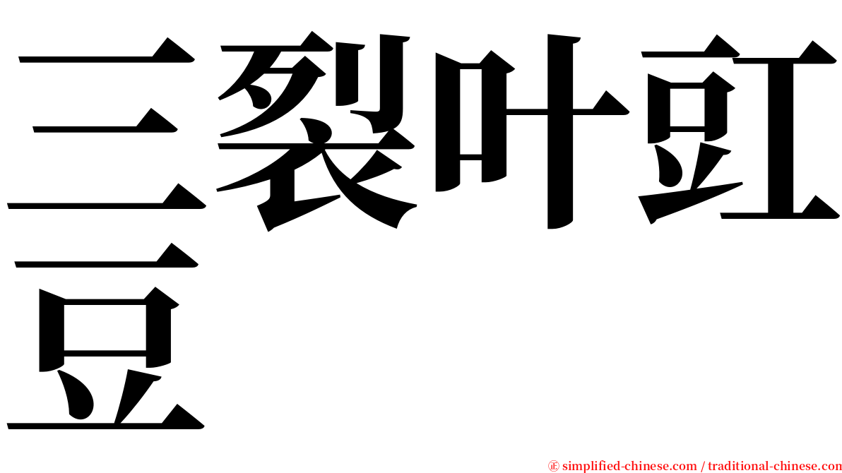 三裂叶豇豆 serif font