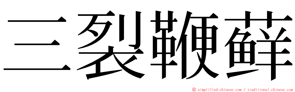 三裂鞭藓 ming font