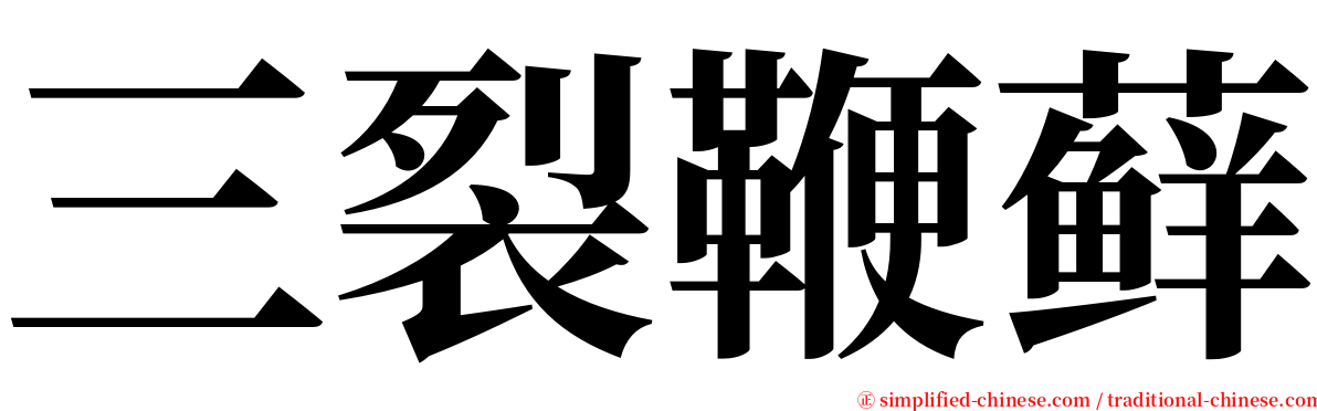 三裂鞭藓 serif font