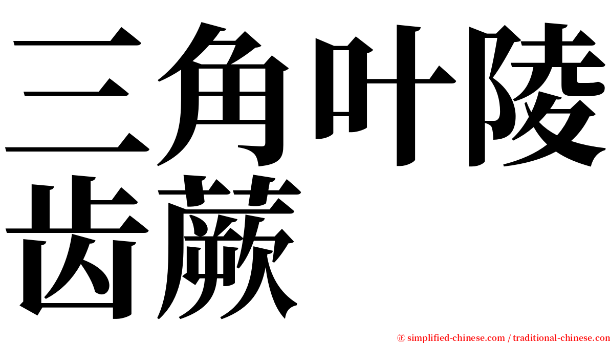 三角叶陵齿蕨 serif font