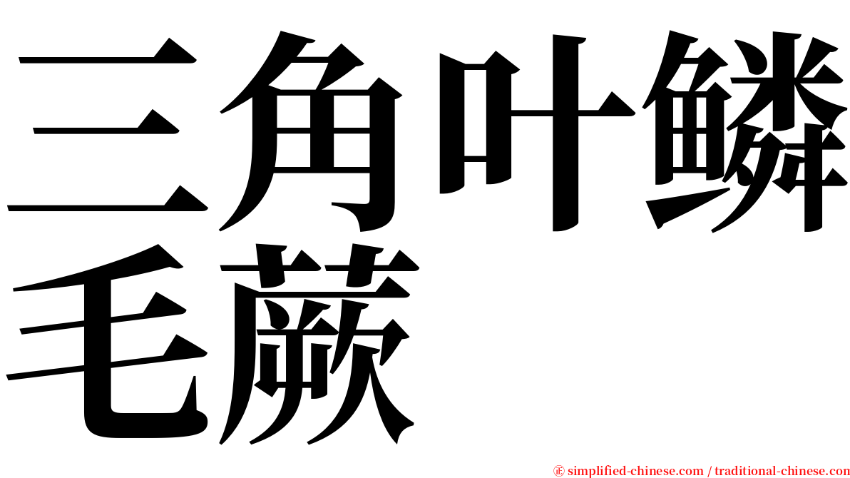 三角叶鳞毛蕨 serif font