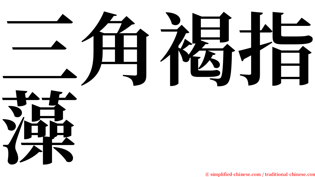 三角褐指藻 serif font