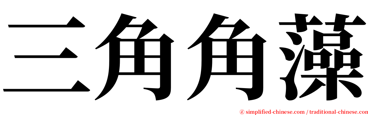 三角角藻 serif font