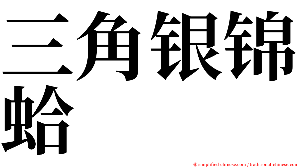 三角银锦蛤 serif font