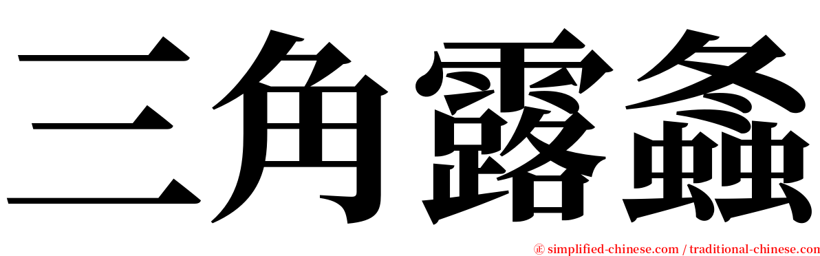 三角露螽 serif font