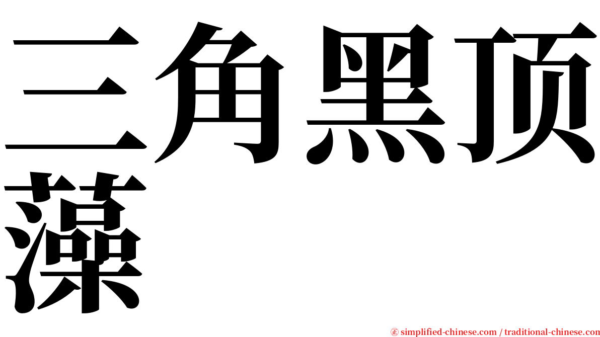 三角黑顶藻 serif font