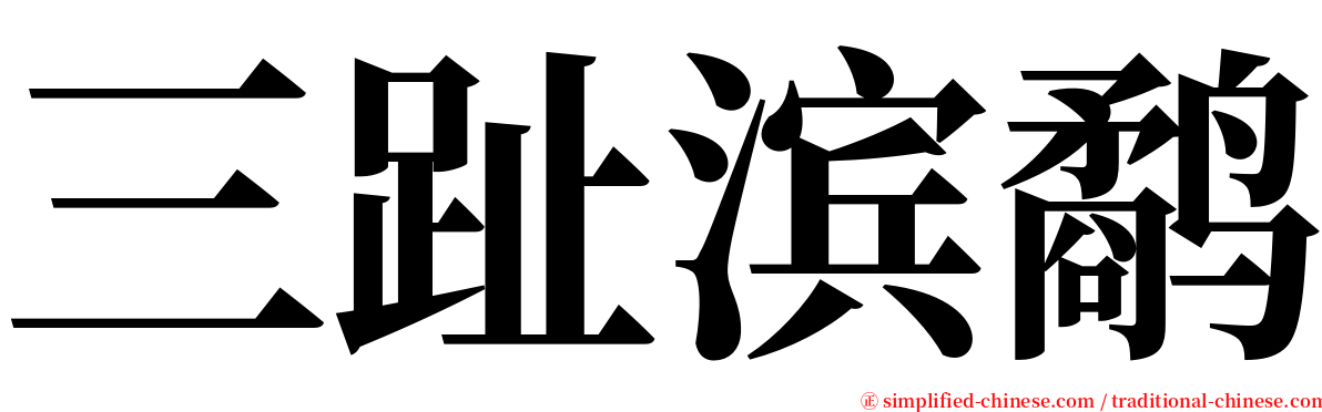 三趾滨鹬 serif font