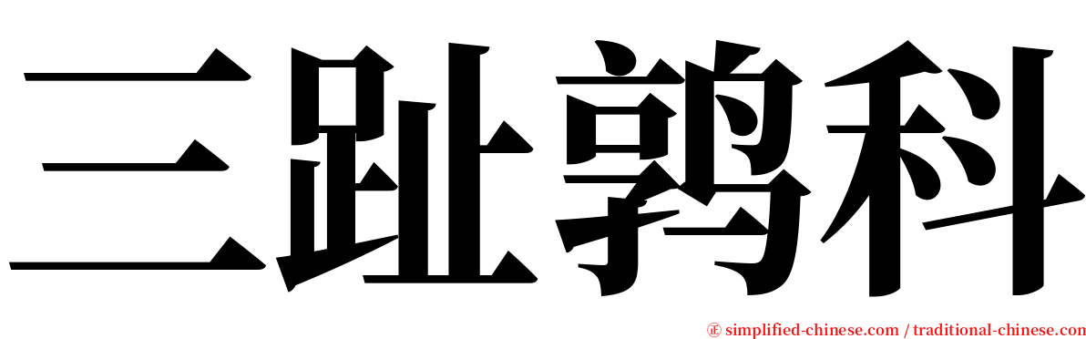 三趾鹑科 serif font