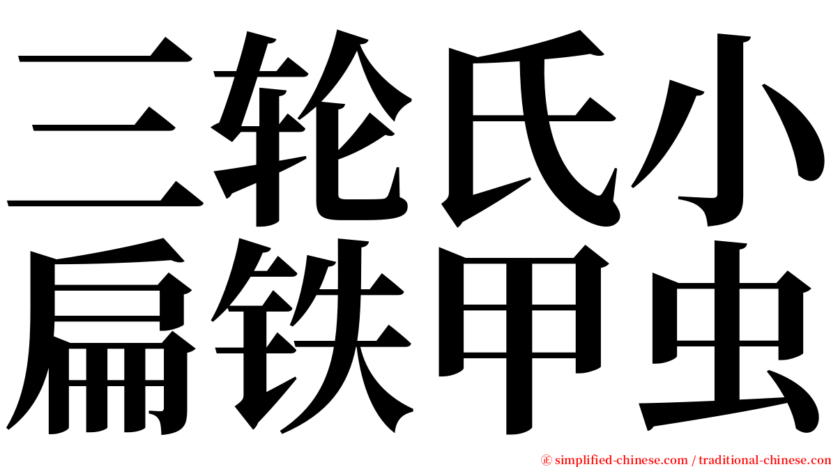 三轮氏小扁铁甲虫 serif font