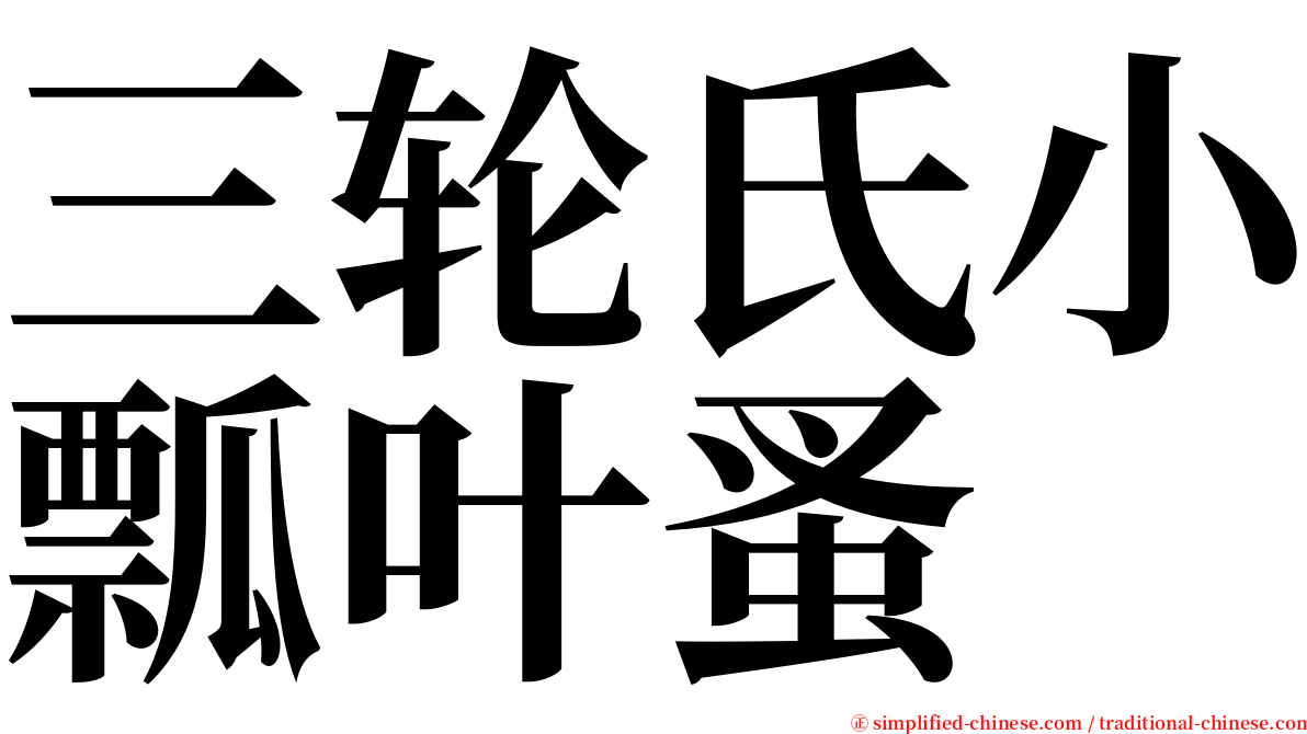 三轮氏小瓢叶蚤 serif font