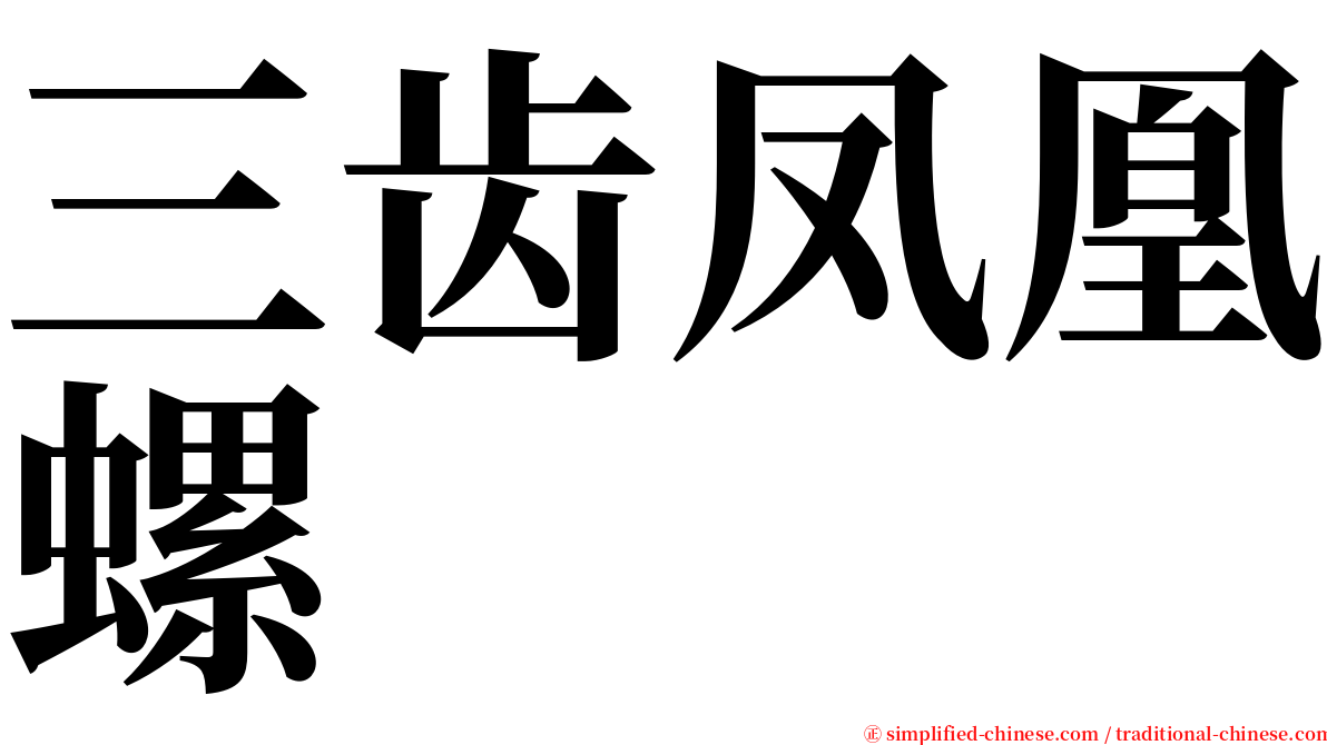 三齿凤凰螺 serif font