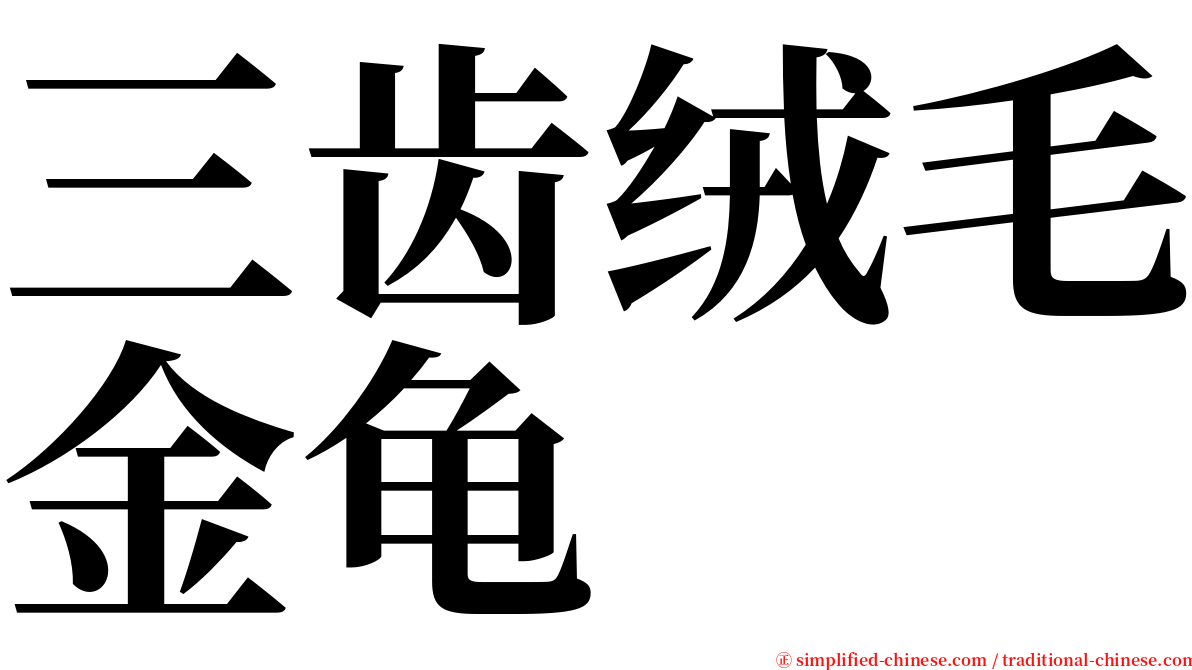 三齿绒毛金龟 serif font