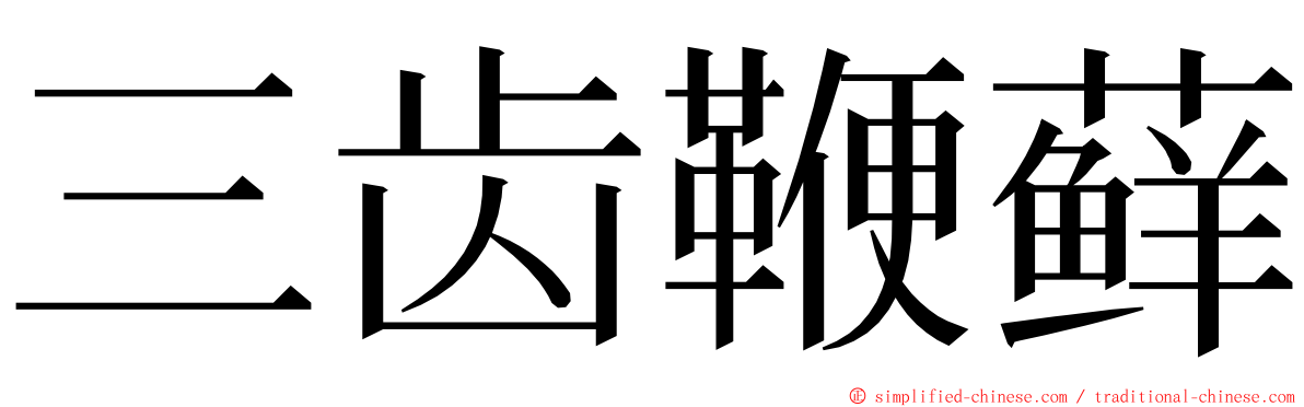 三齿鞭藓 ming font