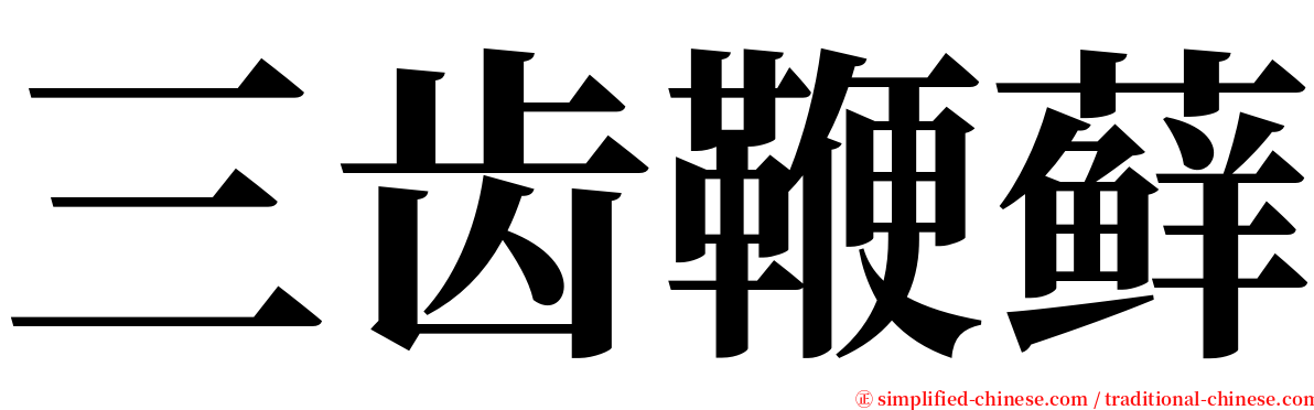 三齿鞭藓 serif font