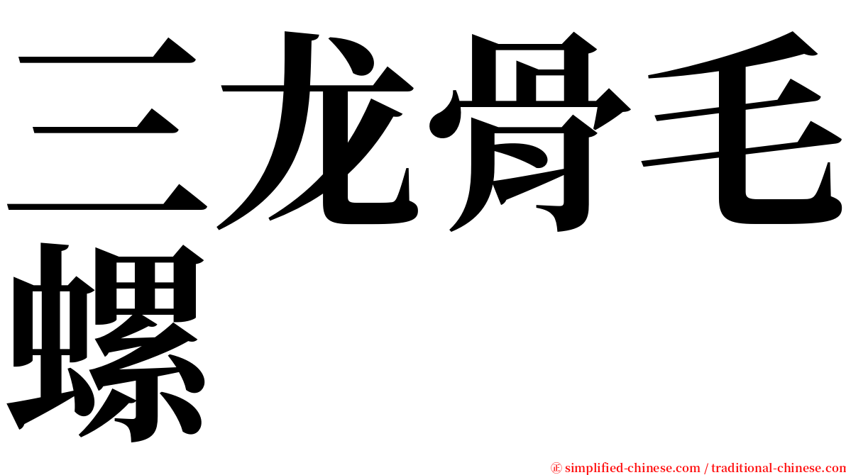 三龙骨毛螺 serif font