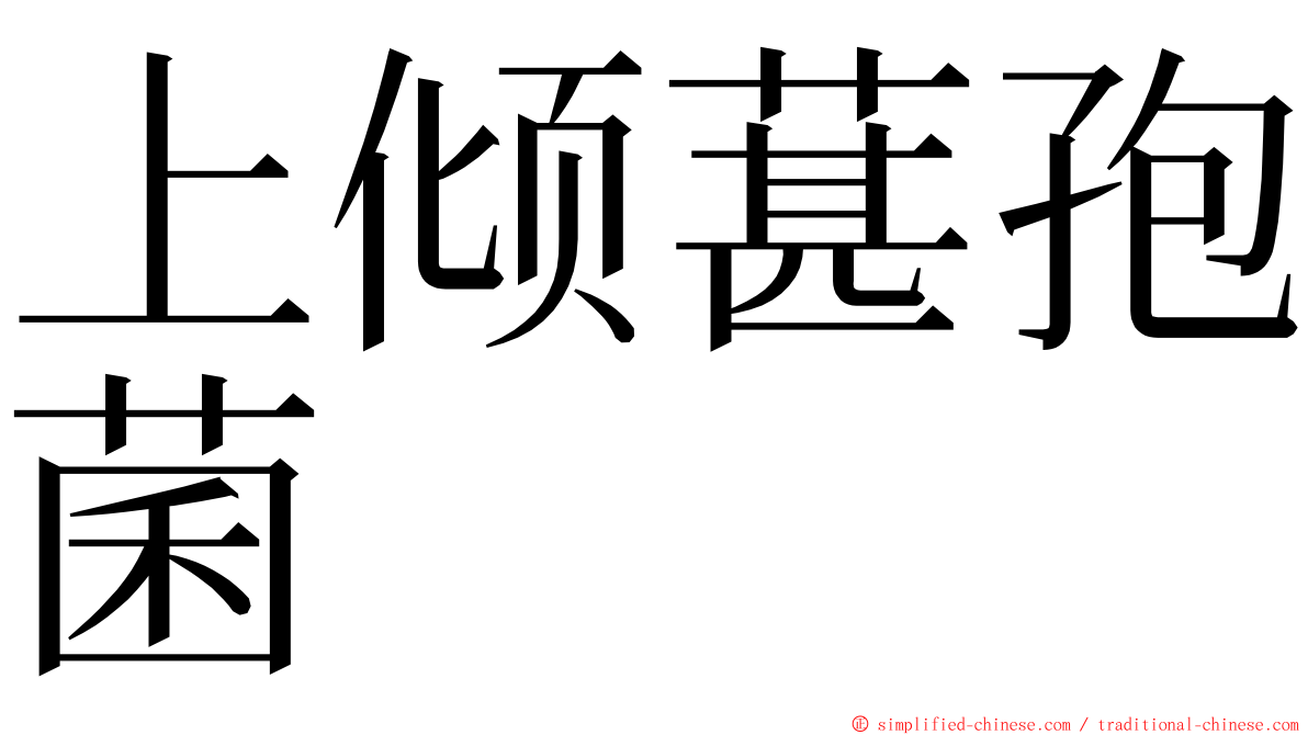 上倾葚孢菌 ming font