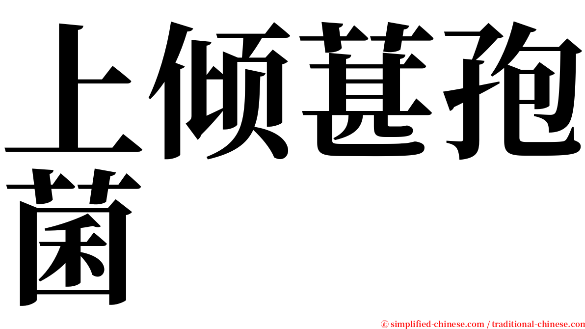 上倾葚孢菌 serif font