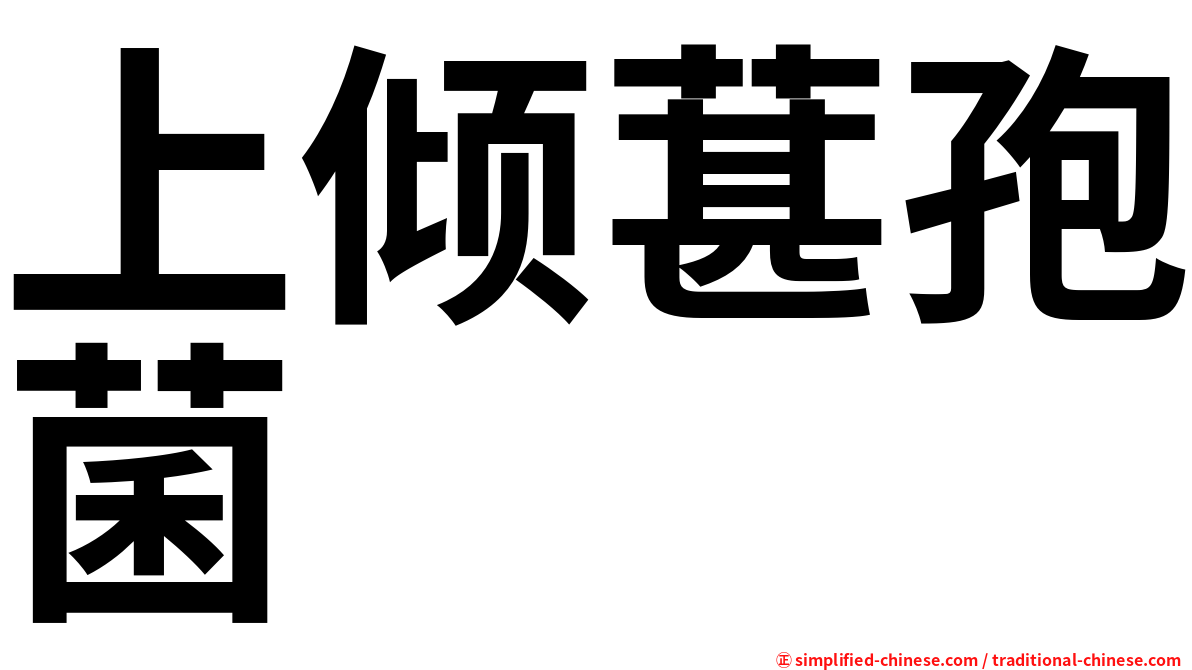 上倾葚孢菌