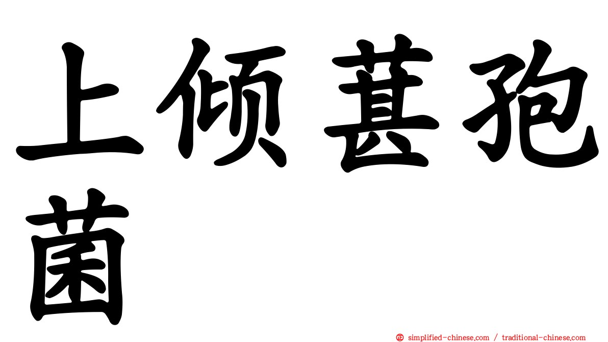 上倾葚孢菌