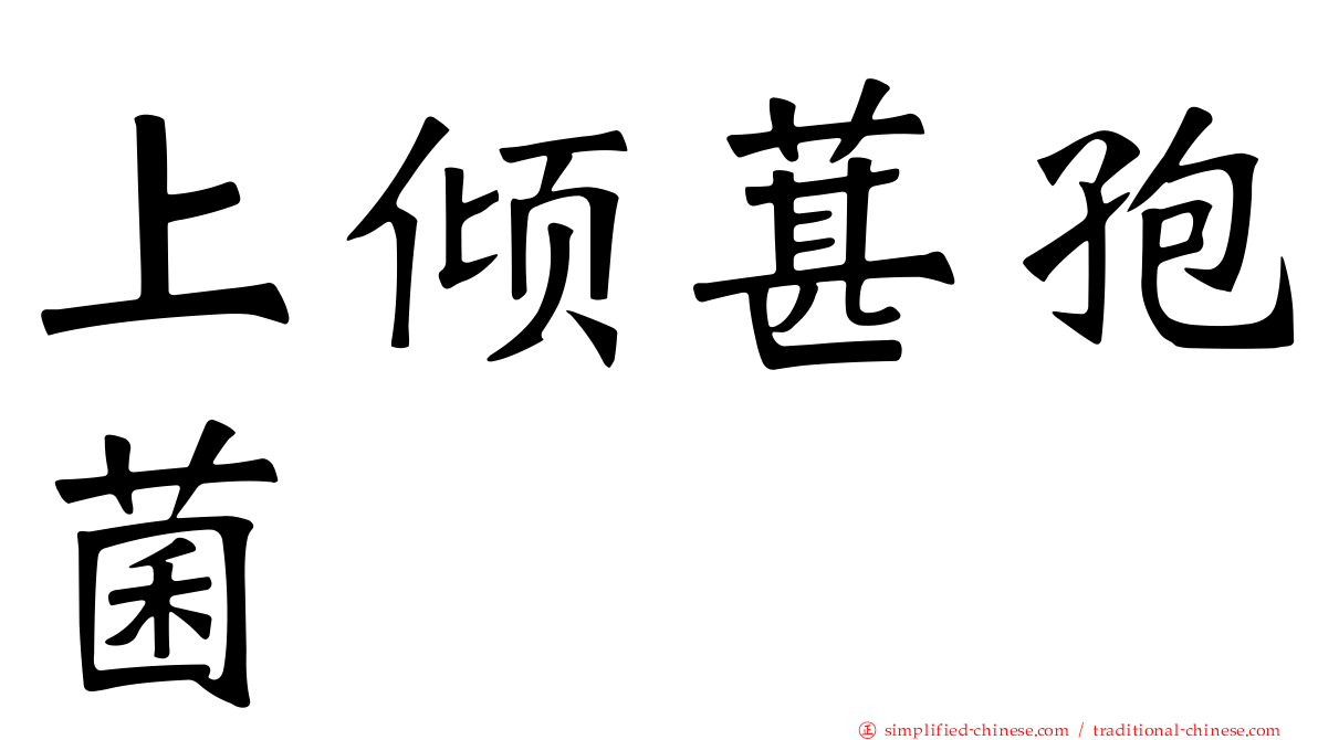 上倾葚孢菌