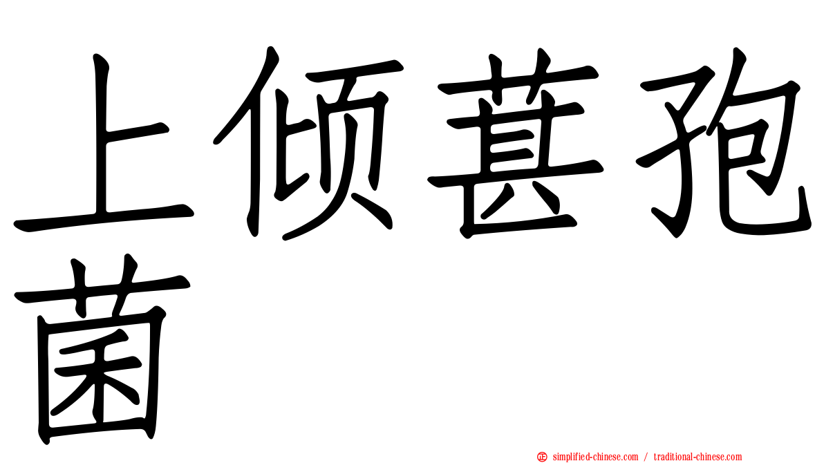 上倾葚孢菌