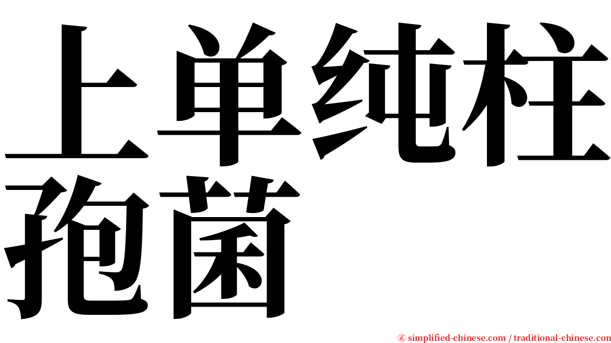 上单纯柱孢菌 serif font