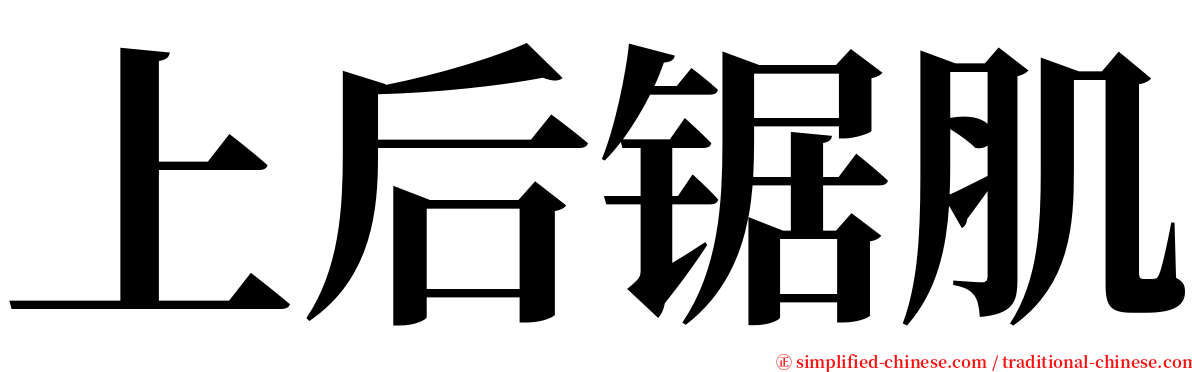 上后锯肌 serif font